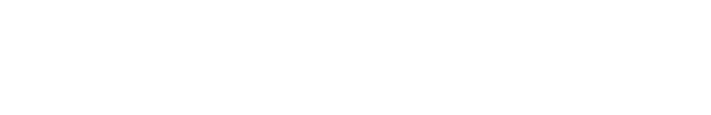 Logo DS certified