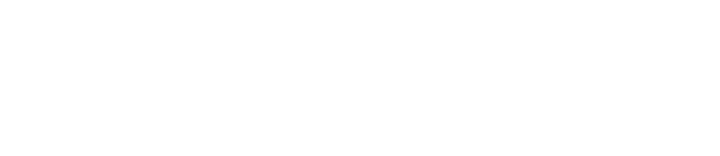 label toyota occasions